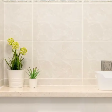 Spacious Family Mm * 斯普利特